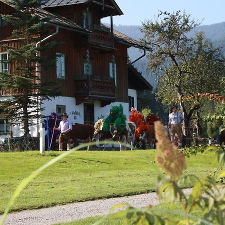 Gaestehaus Hoegerhof Hopfgarten im Brixental Eksteriør billede